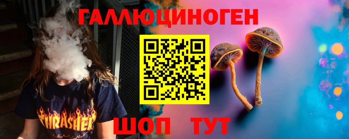 Псилоцибиновые грибы Psilocybine cubensis  Галлюциногенные грибы прущие грибы  Вход с VPN  Киреевск 